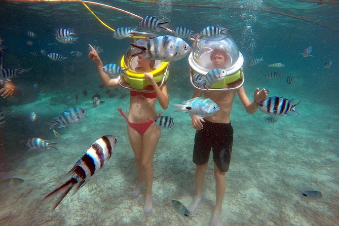 Mesmerizing Ile aux Cerf: Speed Boat, GRSE, Lunch & Undersea walk (Full Day) - The undersea walk is the main event