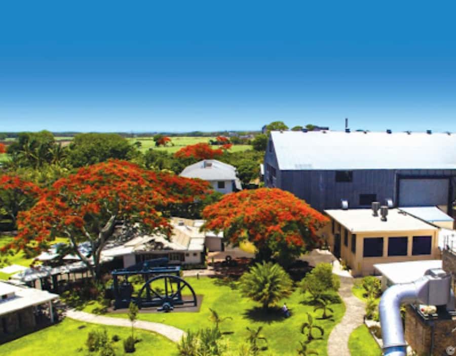 North Day Tour, Botanical Garden, Sugar Museum, Rum Tasting - Starting with the Sir Seewoosagur Ramgoolam Botanical Garden