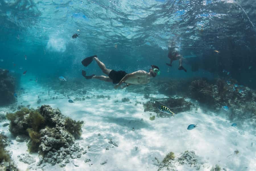 North East of Mauritius: Catamaran Cruise w/ BBQ Lunch - Food, drinks, and the $80 price