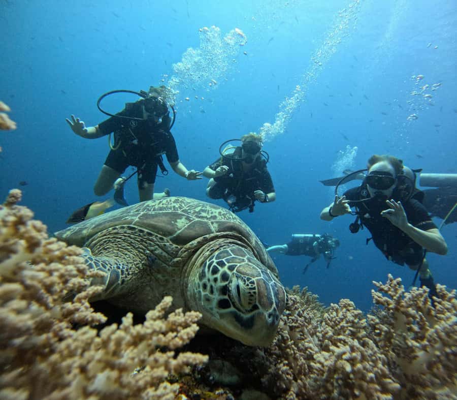 North of Mauritius: Scuba Diving Tour - Meeting at Mon Choisy Beach