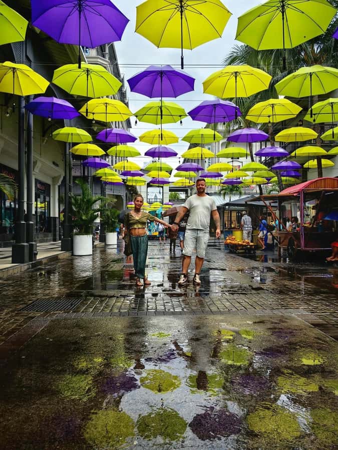 North Tour Of Mauritius With Street Food tasting - Port Louis brings the island into focus