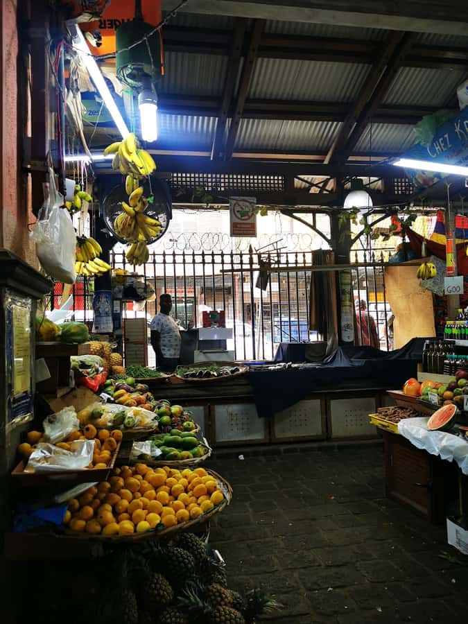 North Tour Of Mauritius With Street Food tasting - The botanical garden adds a quieter change of pace
