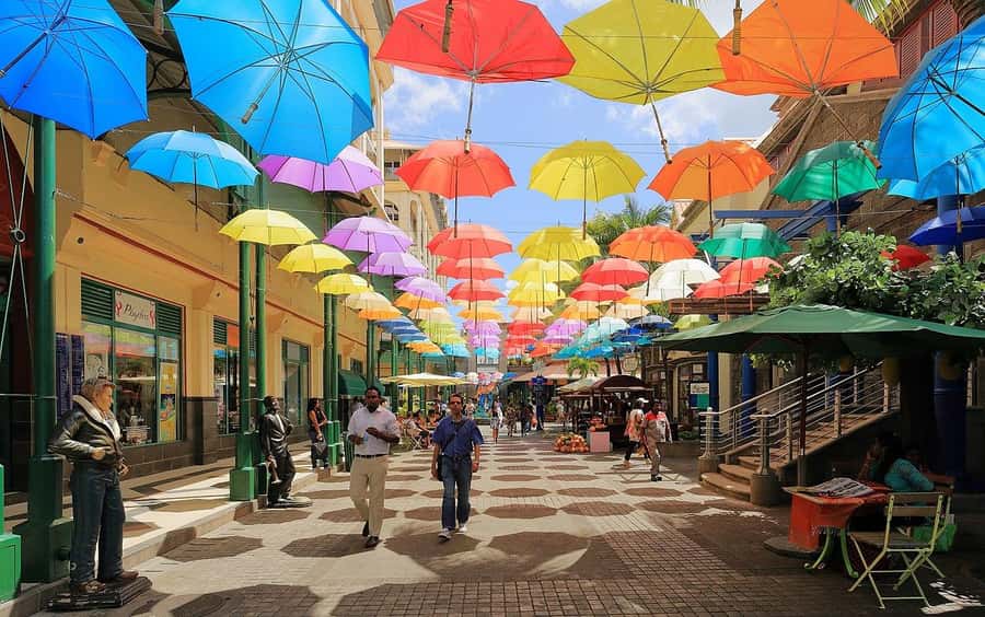 North Tour: Port Louis, Caudan, Citadelle, Botanical Garden - Reading Port Louis through the local market