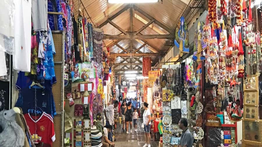 North Tour: Port Louis, Caudan, Citadelle, Botanical Garden - The private sedan and the day’s practical rhythm
