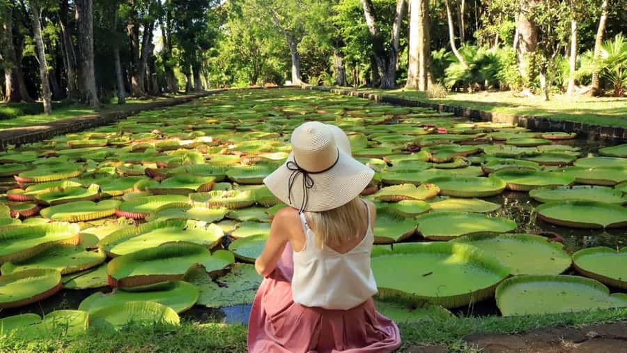 North Tour: Port Louis, Caudan, Citadelle, Botanical Garden - Starting with Caudan Waterfront in Port Louis