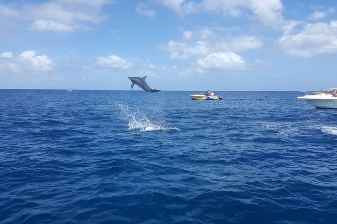 Ocean Swim with Dolphins - BBQ lunch at Le Morne Beach