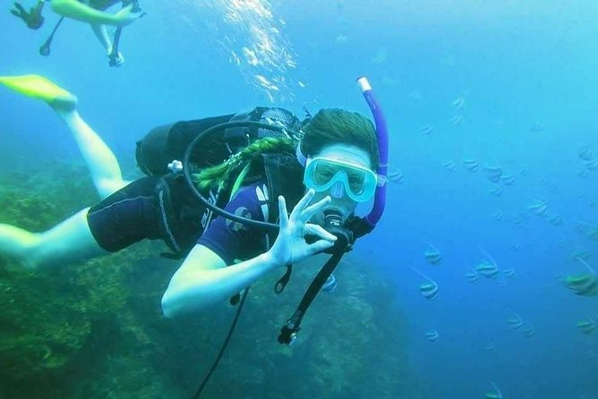 Padi Open Water Diver Course - Four open-water sessions around Mauritius
