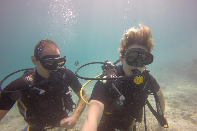 Padi Open Water Diver Course - What the $650 price includes