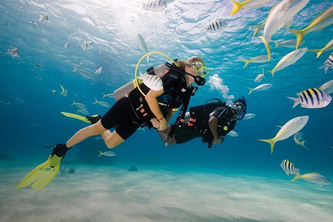 Padi Open Water Diver Course - Meeting the team at La Peninsula Mauritius