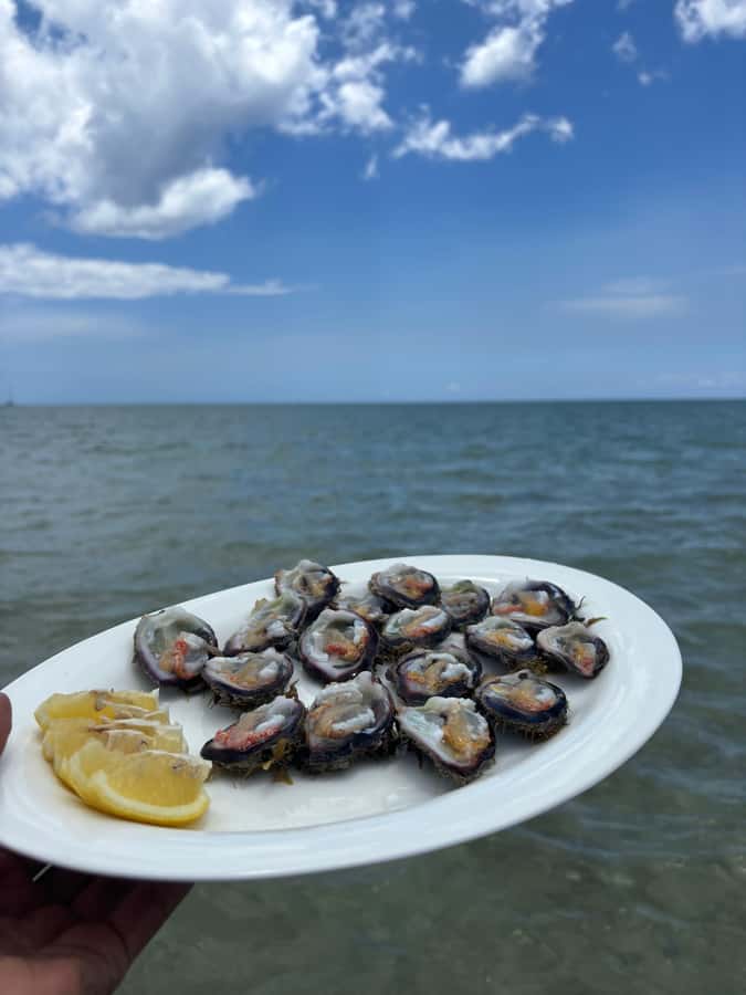 'Pieds dans l'eau': Snorkel & have Lunch on 'Benitier island - Five things worth knowing before you book