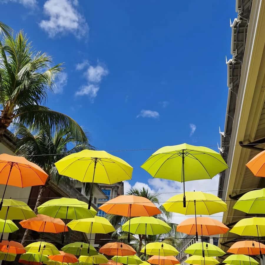 Port Louis: City Tour with Street Food Tasting - Old Port Louis, where the tour starts to make sense