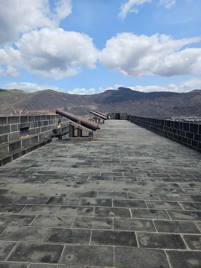 Port Louis: Mont Choisy, Botanical Garden, and Church Tour - What to clarify before you go