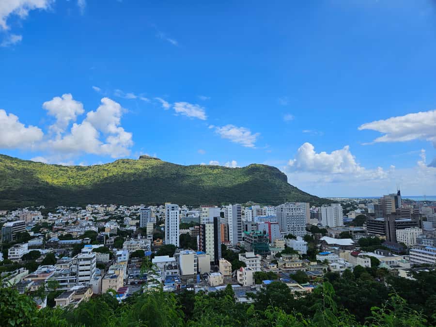 Port Louis: Mont Choisy, Botanical Garden, and Church Tour - Pamplemousses Botanical Garden: allow two hours among giant lilies