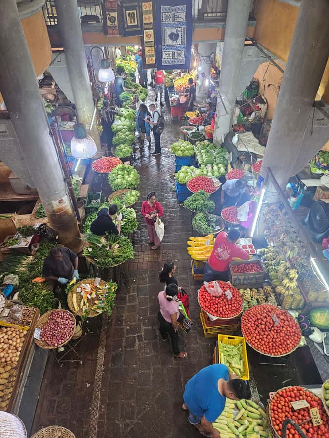 Port Louis: Mont Choisy, Botanical Garden, and Church Tour - Mont Choisy or Trou aux Biches: a short coastal pause