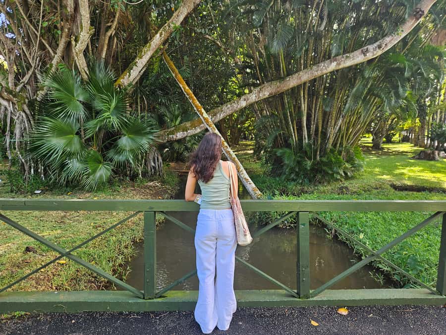 Port Louis: Mont Choisy, Botanical Garden, and Church Tour - Is $129 good value for two people?