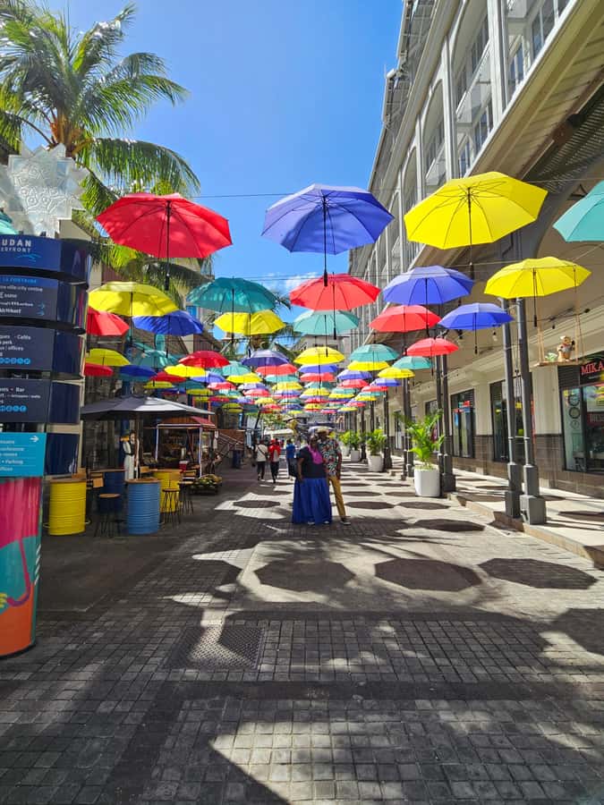Port Louis: Mont Choisy, Botanical Garden, and Church Tour - Port Louis: market, waterfront, and Fort Adelaide