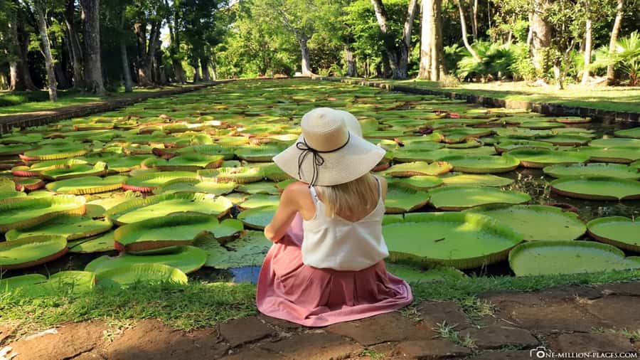 Port Louis: Northern Treasures Private Tour - Key points to know before booking