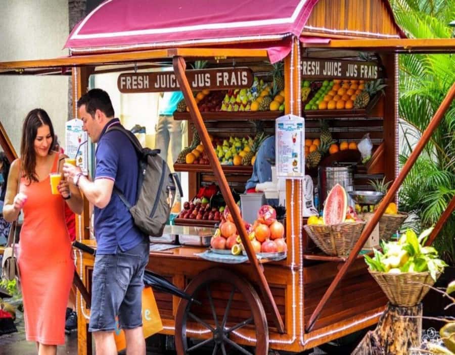 Port Louis: Northern Treasures Private Tour - What the guide can add to the day