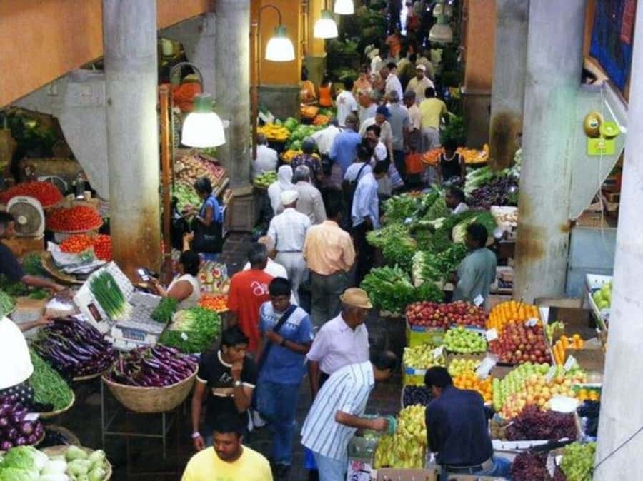 Port Louis: Private Guided Sightseeing Tour - Pamplemousses Garden, the day’s botanical highlight