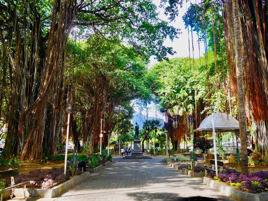 Port Louis: Street Eats and City Highlights Walking Tour - Starting at Caudan Arts Centre