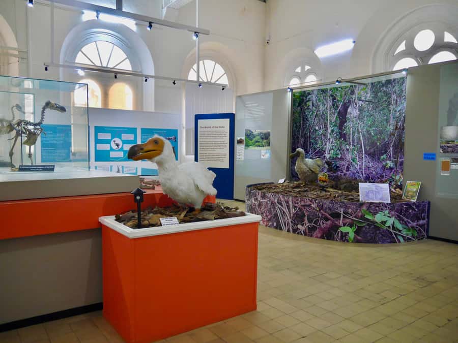 Port Louis: Street Eats and City Highlights Walking Tour - Port Louis history comes alive between bites