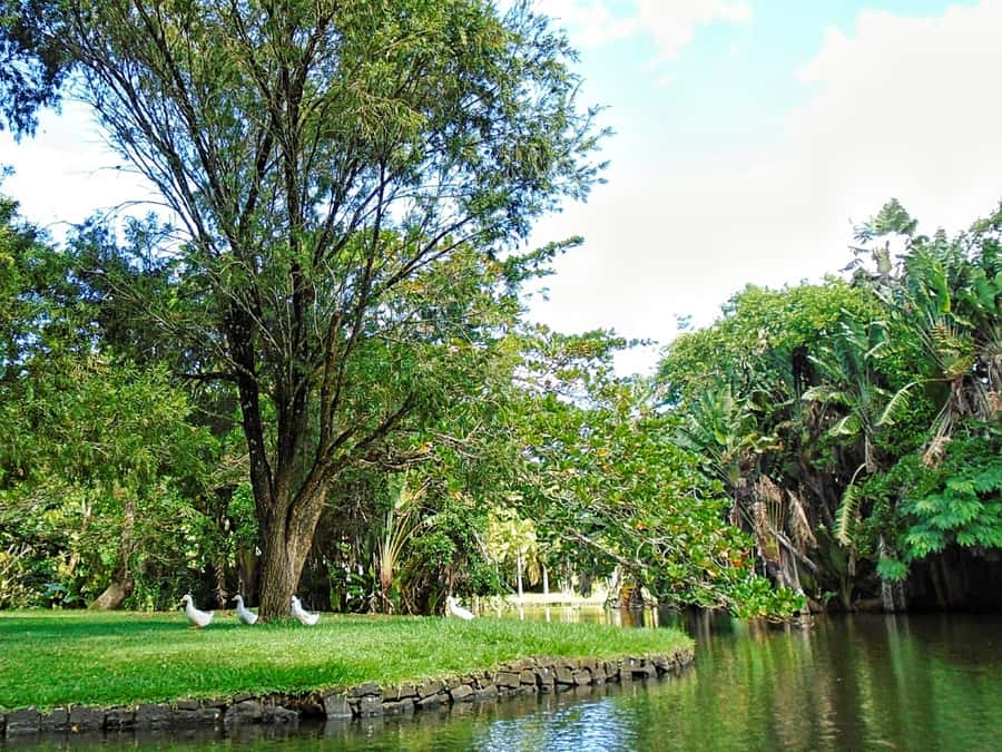 Private All Inclusive North Tour with Lunch & Entrance Fees - L’Aventure du Sucre, where sugar explains Mauritius