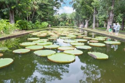 Private All Inclusive North Tour with Lunch & Entrance Fees