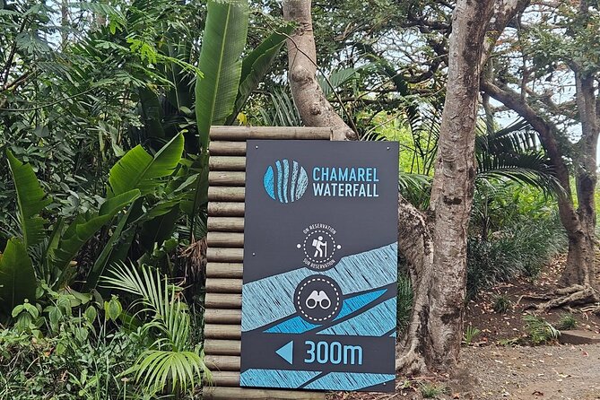 Private and Guided Tour of Mauritius South - Chamarel Waterfall is one of the day’s best stops
