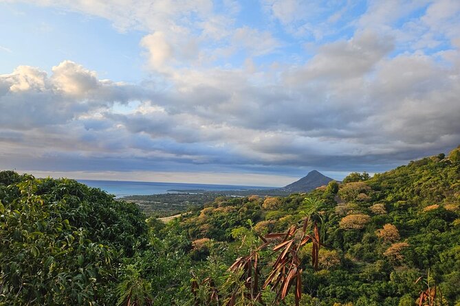 Private and Guided Tour of Mauritius South - Rhumerie de Chamarel turns sugarcane into a tasting stop