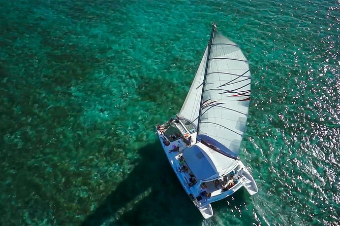 Private Charter Full Day Cruise: Île aux Cerfs - Dolphins, monkeys, and giant bats are possible extras