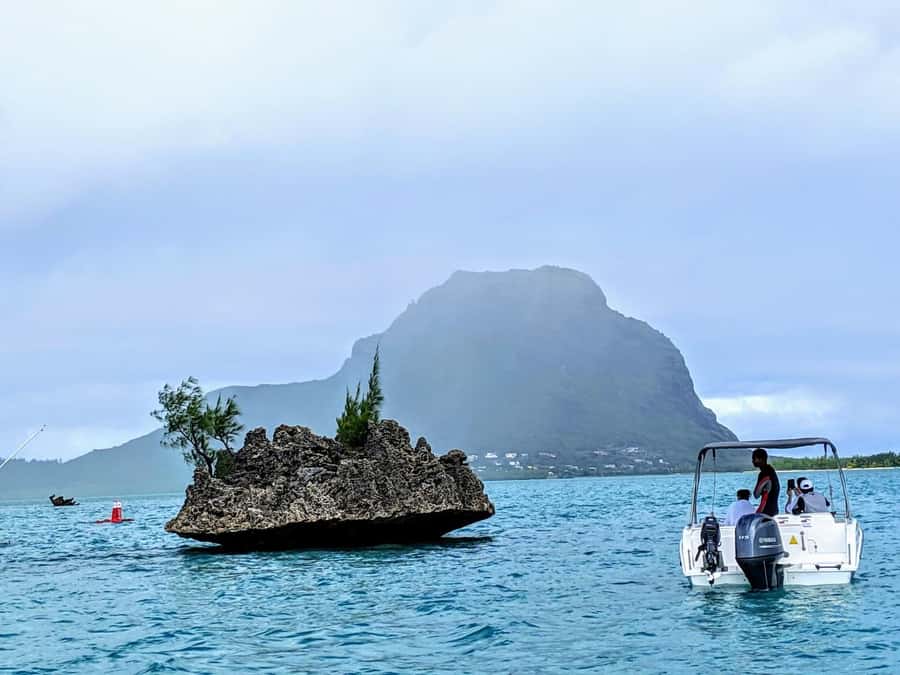 Private Dolphin Swim/Snorkeling & Lunch on Benitiers island - Key points at a glance