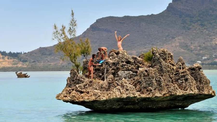 Private Dolphin Swim/Snorkeling & Lunch on Benitiers island - Dolphin watching and swimming near Tamarin