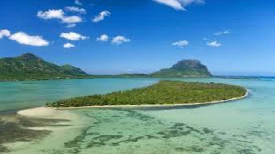 Private Dolphin Swim/Snorkeling & Lunch on Benitiers island - Crossing to Île aux Bénitiers for lunch