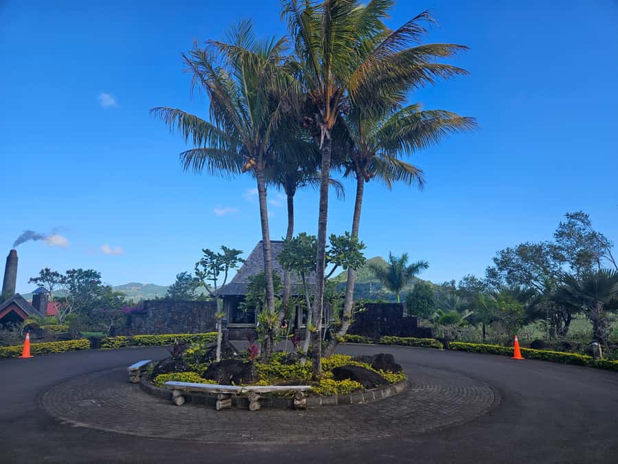 PRIVATE FULL-DAY NORTH AND SOUTH TOUR - Port Louis Bazaar and Waterfront