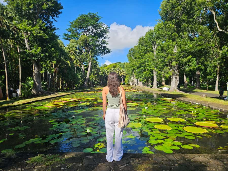 PRIVATE FULL-DAY NORTH AND SOUTH TOUR - What the guides add to the experience
