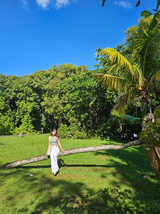 PRIVATE FULL-DAY NORTH AND SOUTH TOUR - Is $158 good value for two people?