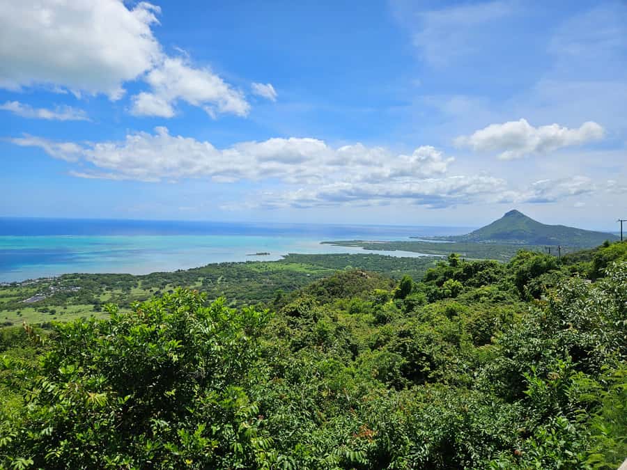 PRIVATE FULL-DAY NORTH AND SOUTH TOUR - Pamplemousses Botanical Garden and its plant collection