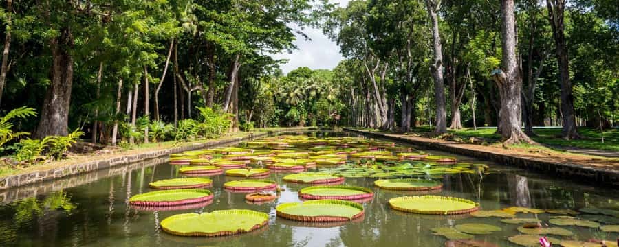 Private Full Day Tour of Port Louis and Northern - Key Points Before You Book