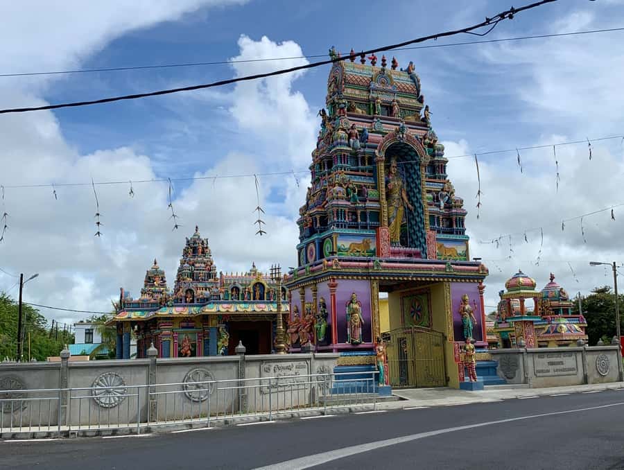 Private Full Day Tour of Port Louis and Northern - Pamplemousses Garden and the Talipot Palm