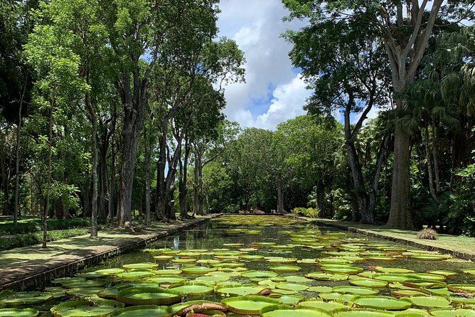 Private Guided Tour of Northern Mauritius with Shopping in Port Louis - What the private format means for your day