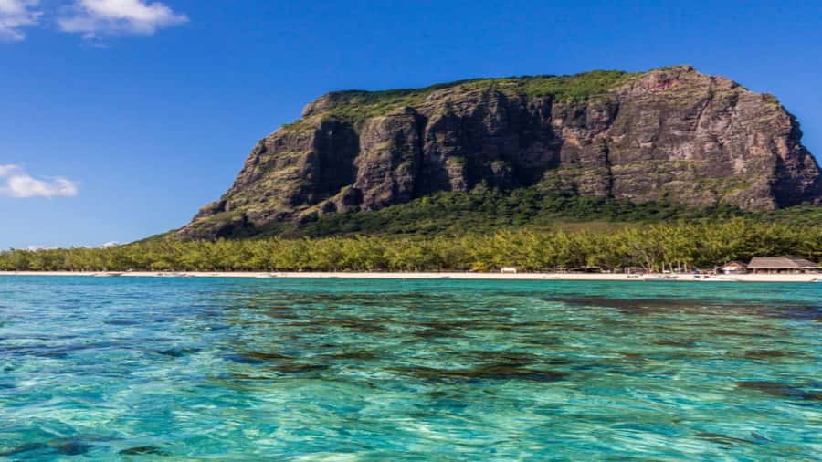 Private Île aux Bénitiers Boat: Dolphin Snorkeling & Lobster - What the private format is really worth