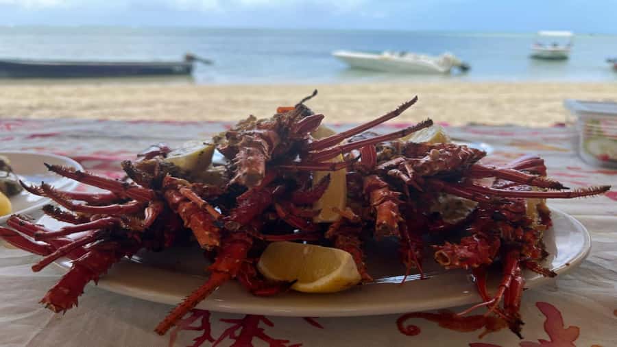 Private Île aux Bénitiers Boat: Dolphin Snorkeling & Lobster - Who will enjoy this day most