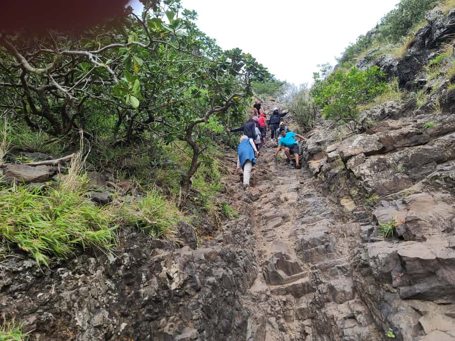 PRIVATE LeMorne Mountain Picturesque Hike-UNESCO Recognised - Reaching the top and taking in the views