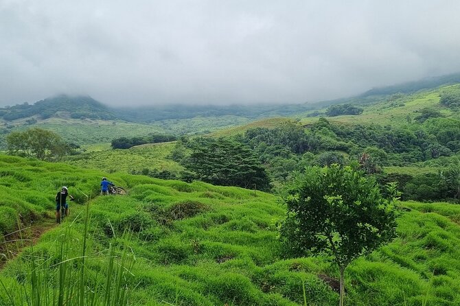 Private Mountain Biking Experience in the Wild South of Mauritius - Reaching the private trails at Chamouny