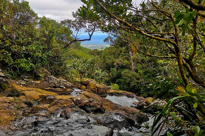 Private southwest of Mauritius: Barbecue Lunch at Îlot Fourneau - Black River Gorges offers the widest green views