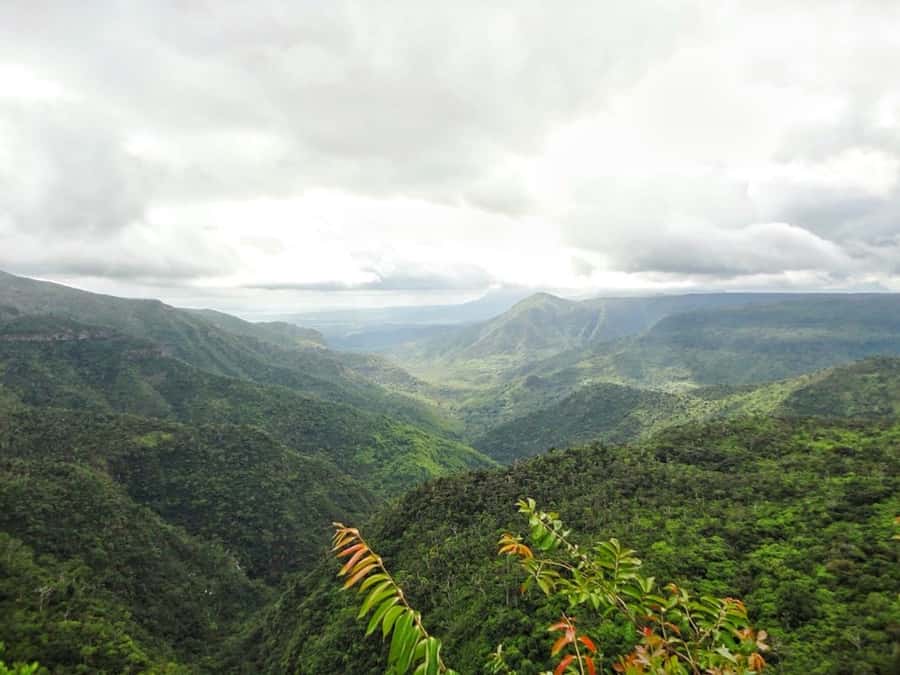 Private Southwest Tour with Local Lunch & Entrance Fees - Chamarel and the Seven-Coloured Earth