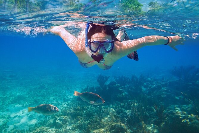 Private speed boat to Ile aux Cerfs full-day Incl: Lunch & Transfer - Who will enjoy this day most