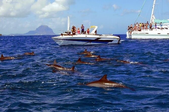Private Speed Boat Tour and Dolphin Encounter at Ile aux Benitier - Crystal Rock and the Le Morne view