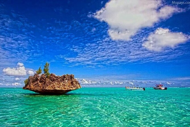 Private Speed Boat Tour and Dolphin Encounter at Ile aux Benitier - The $312.02 price and what you receive