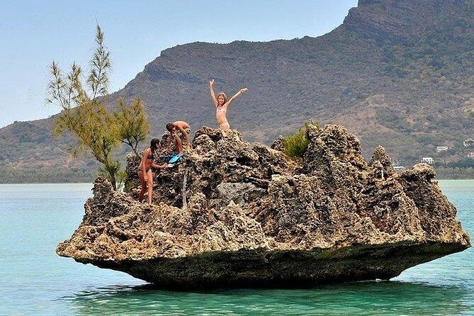 Private Speed Boat Tour and Dolphin Encounter at Ile aux Benitier - Service details worth checking before you go
